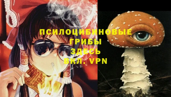 гидра Киренск