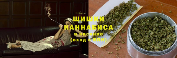 индика Каменск-Шахтинский
