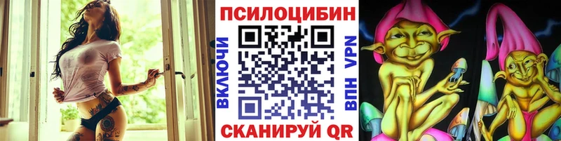 Купить  Кореновск  Псилоцибиновые грибы Cubensis 